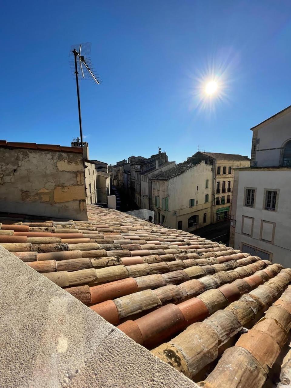 Entre Theatre Et Rhone, 87 M2 Terrasse Clim Wifi Arles Camargue Apartment Luaran gambar